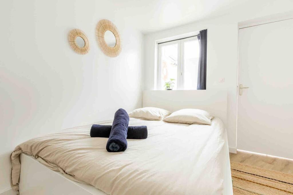Apartment Rdc Mairie De